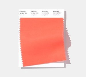 Pantone 2019 Color of the Year